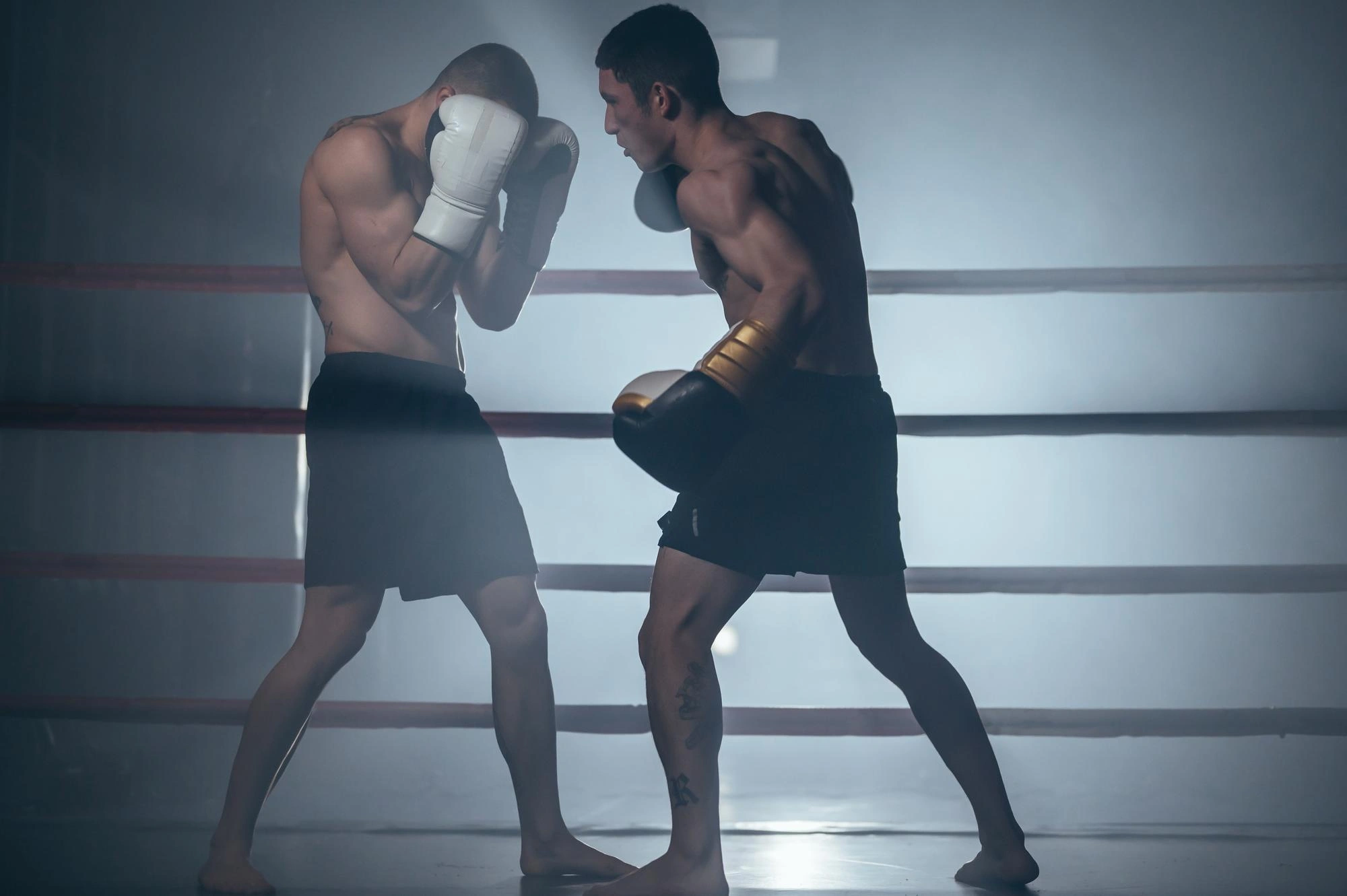 activite-sport-de-combat