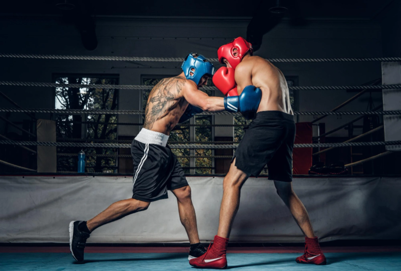 cours de boxe 91