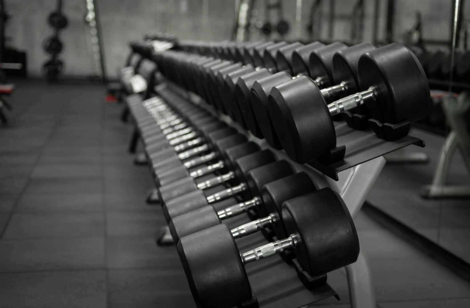 salle de musculation 91