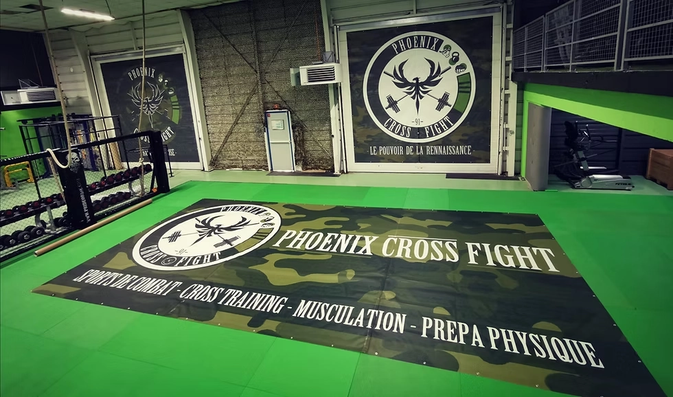 tatami-phoenix-cross-fight